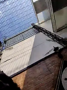 EngelSmith_ live sex cam