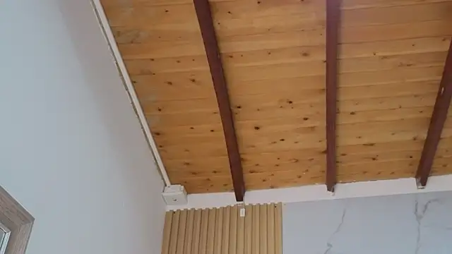 angel__kiss's cam snapshot