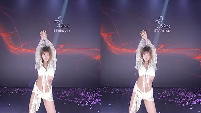 STARS-737's cam snapshot