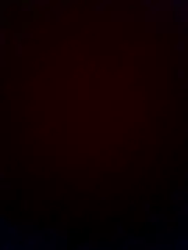 LEOMEGHA2026's cam snapshot