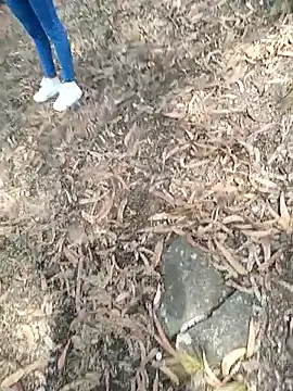 project_xx's cam snapshot