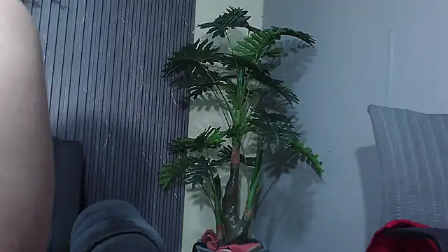 denise_babe_'s cam snapshot