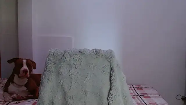 MadisonCambel live sex cam