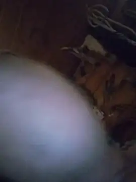 Biknight's cam snapshot