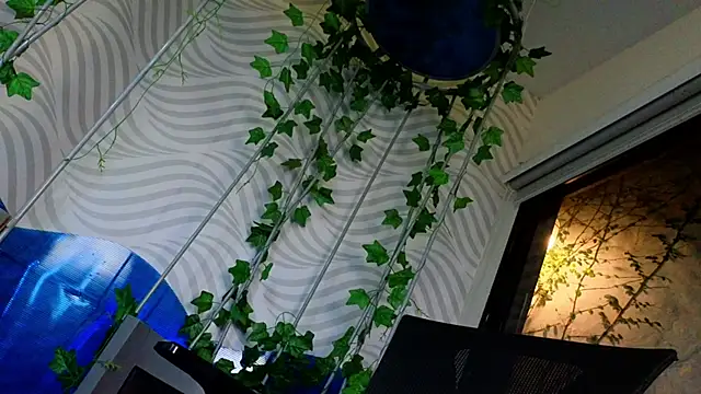 TheKing_39_'s cam snapshot