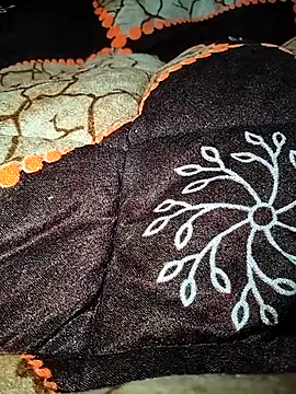 Raj-rajendri__sexy24's cam snapshot