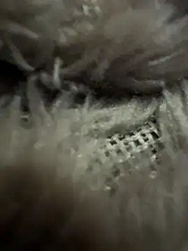 anonimgirl18old's cam snapshot