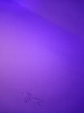 iamlalamilano's cam snapshot