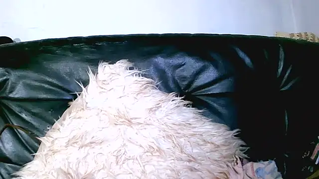 Bustypillows's cam snapshot