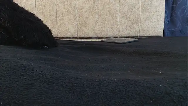 Big_Ass_Dirtyy's cam snapshot