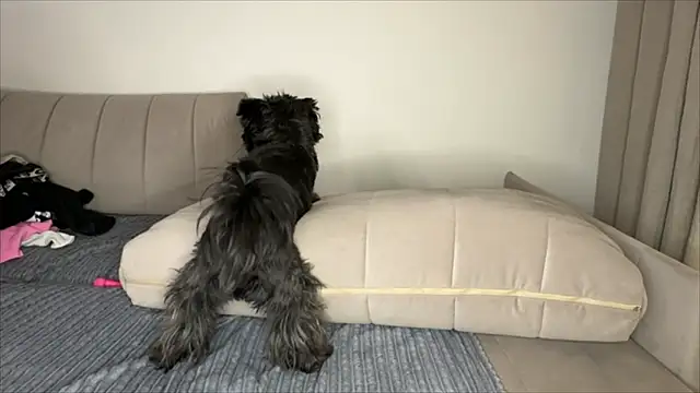 Mark_and_Jennie's cam snapshot