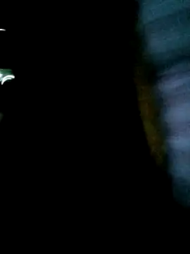 Diana-02's cam snapshot