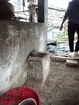 galaxy898's cam snapshot