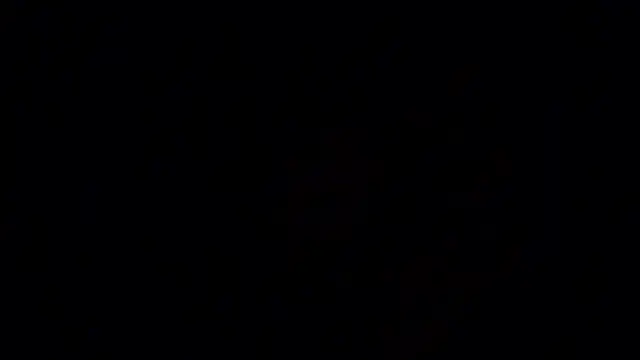 flowernnet's cam snapshot