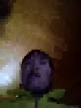 karara97's cam snapshot