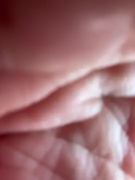 Celestedubois's cam snapshot