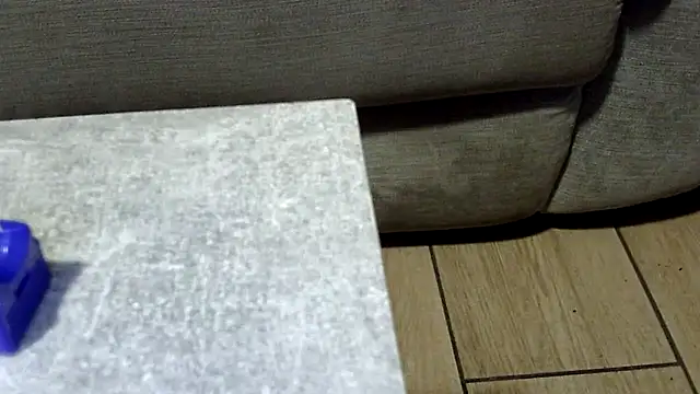 feline27's cam snapshot