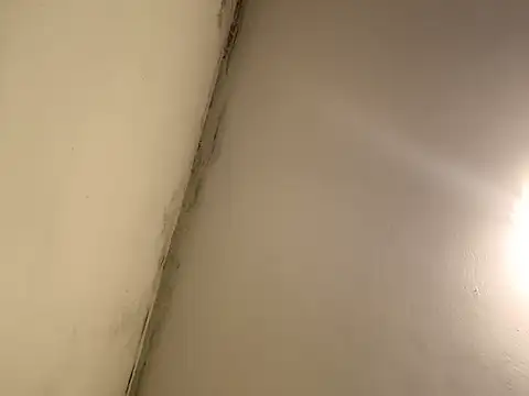 manuel9428's cam snapshot