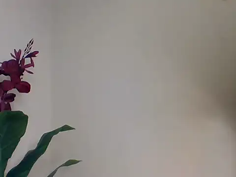 Sexy_Annii's cam snapshot