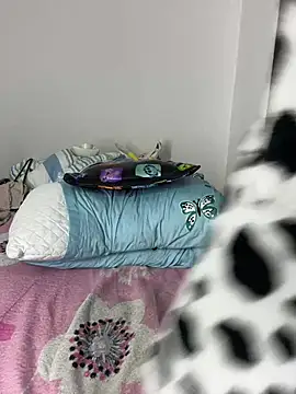 sandylau's cam snapshot