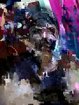 elburrotio's cam snapshot