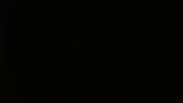 petitoiseau67's cam snapshot