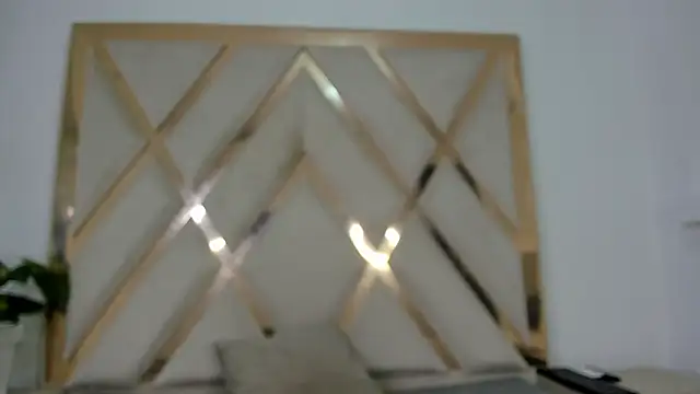 Selenaasm's cam snapshot