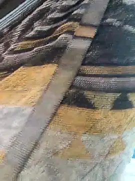 johnysinsr live sex cam