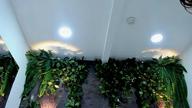 alice_greco's cam snapshot