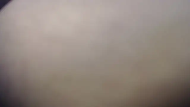 petite_coral's cam snapshot