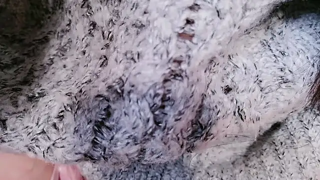 mochachan_M's cam snapshot