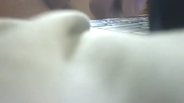 Flossee's cam snapshot