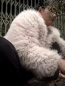 Curry50's cam snapshot