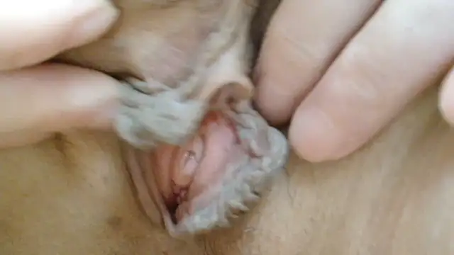 sonyx's cam snapshot