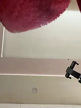 Liness101's cam snapshot