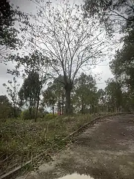 Xiao-meng66 live sex cam