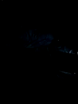 Nathaly-777's cam snapshot