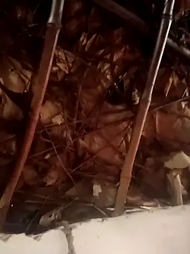 ARPITA_999's cam snapshot