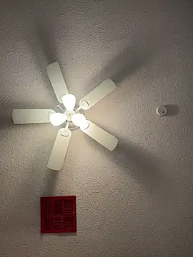 MyHoneyFrida's cam snapshot