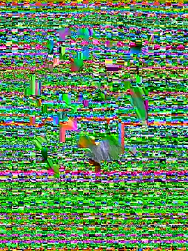 AshleyVXo's cam snapshot