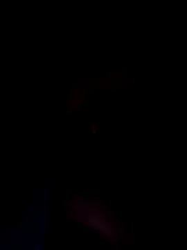 Eldiablo2055's cam snapshot