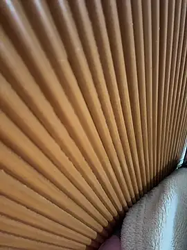 Anna_Bitch_Disgusting's cam snapshot