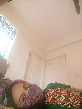 Sheela-Bhabi's cam snapshot