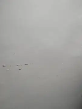 Shona_babu-'s cam snapshot