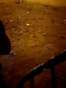 Ariadna2015 live sex cam