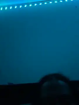 James816 live sex cam