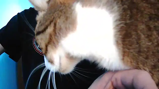 Niko_slave live sex cam