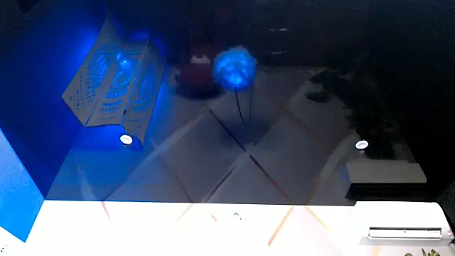 OksanaOcean live sex cam