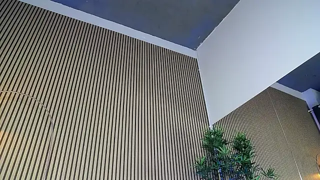 TheaBrown's cam snapshot