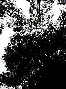 Rs_sonam's cam snapshot